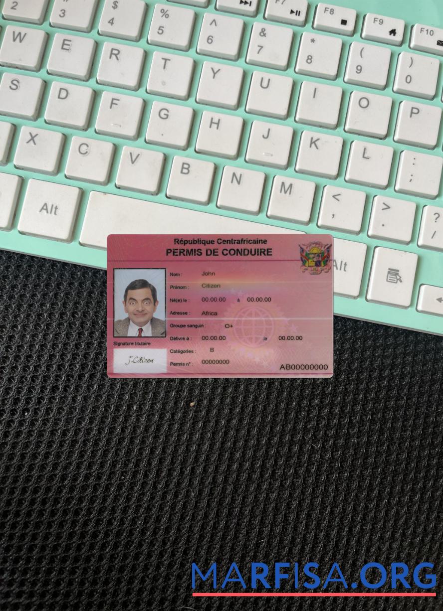 Printable Central African driving license photolook download for verification